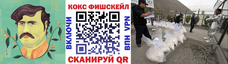 COCAIN Columbia  KRAKEN зеркало  мориарти клад  Мураши 