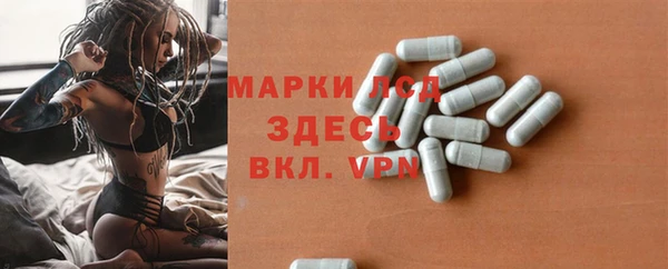 гашик Беломорск