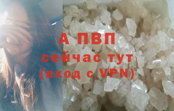 гашик Беломорск